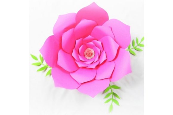 Priscilla Giant Paper Flowers: 3D SVG Asset Review